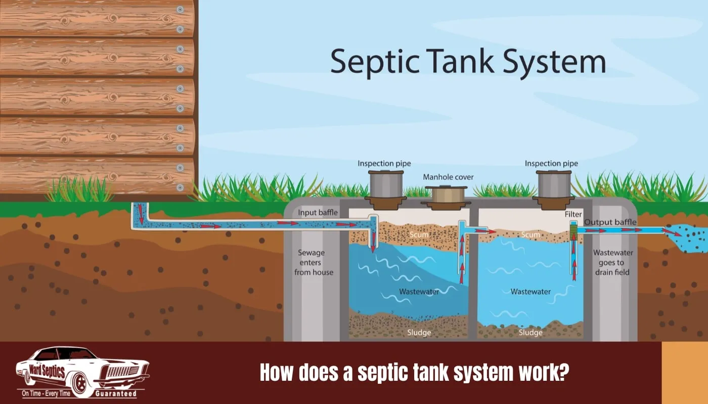 An educational diagram showing a cross-section of a septic tank system.