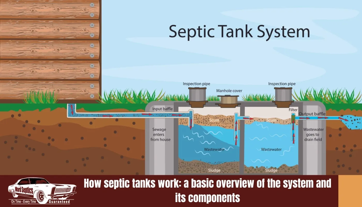 An educational diagram showing a cross-section of a septic tank system.
