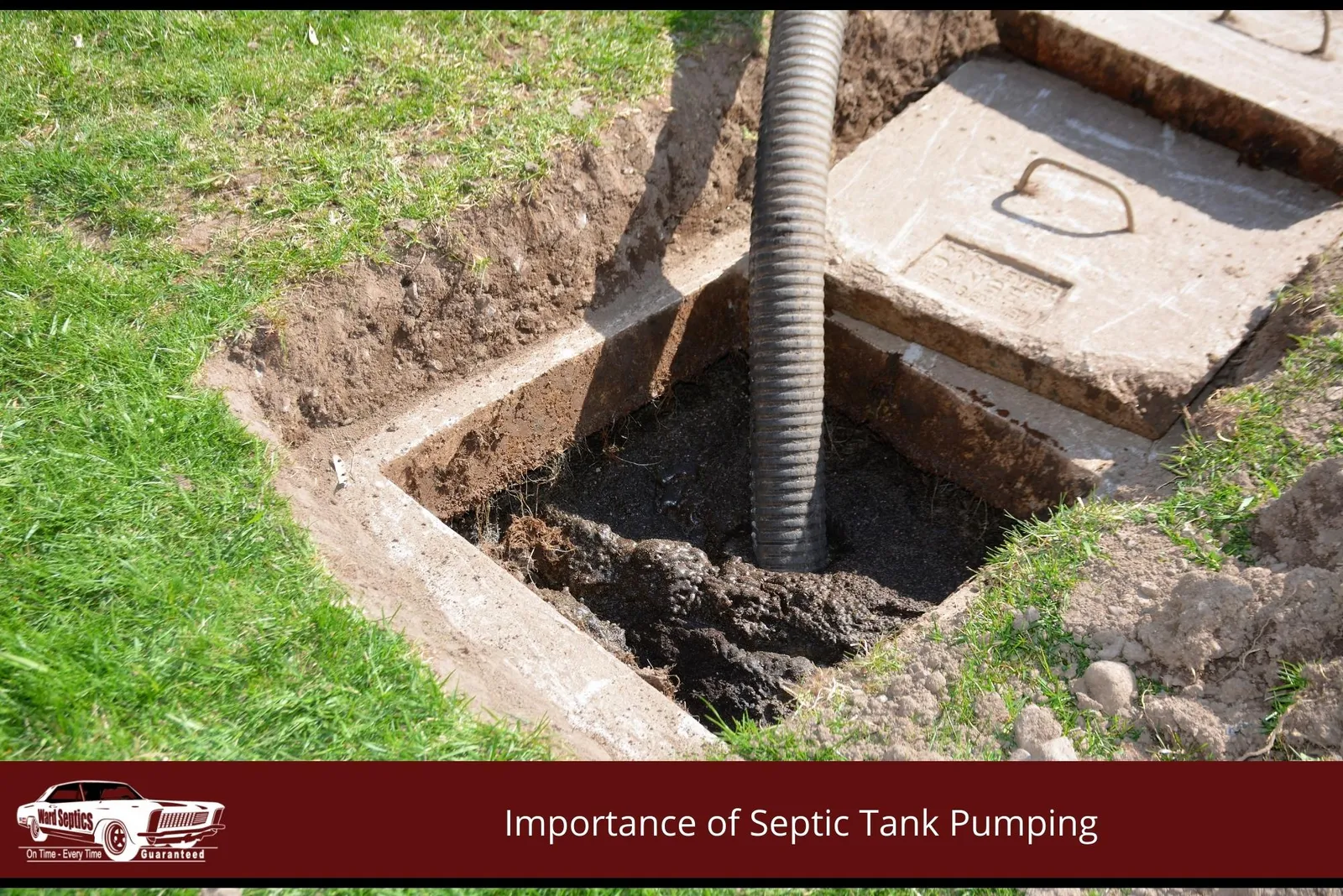A thick hose pumping out an open concrete septic tank in a grassy yard.