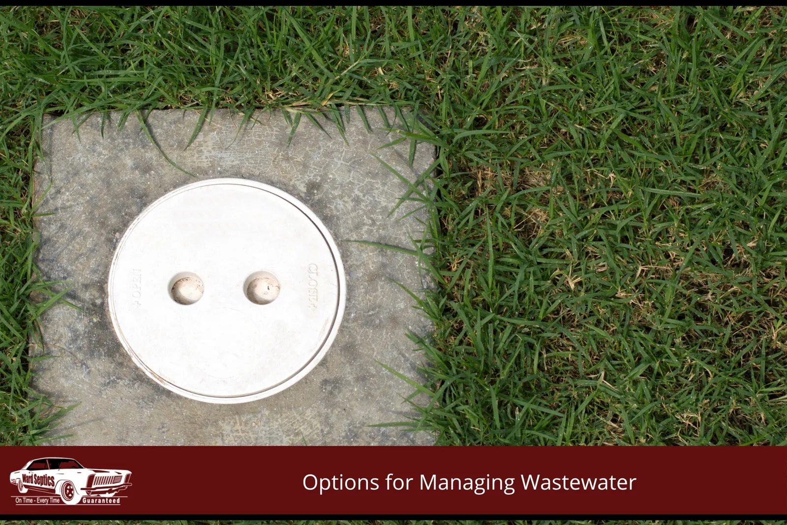 A small, round white plastic inspection cap set into a square concrete pad surrounded by green lawn grass.