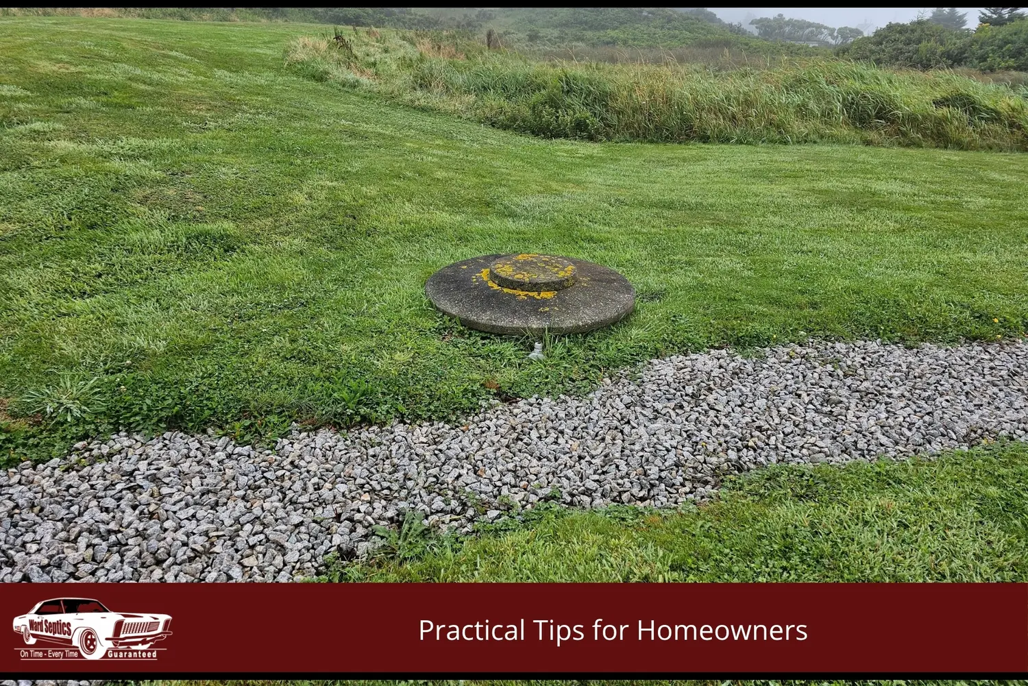 A circular concrete septic tank lid covered in yellow moss on a green grassy hill next to a gravel path.
