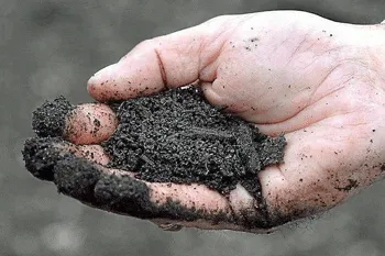 A close-up of a person's open palm holding a handful of dark, rich, moist soil.