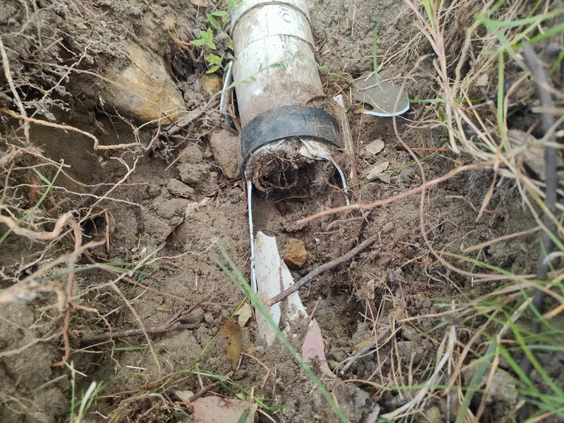 A dug-out pipe joint with tree roots growing in at the collar