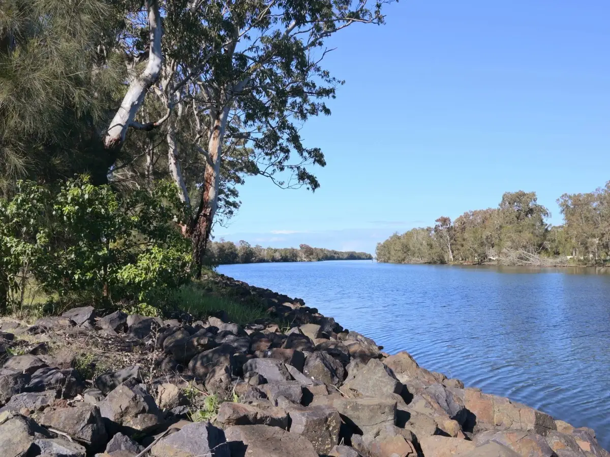 The Wyong River lined with gums and a rock wall, on its way down the valley