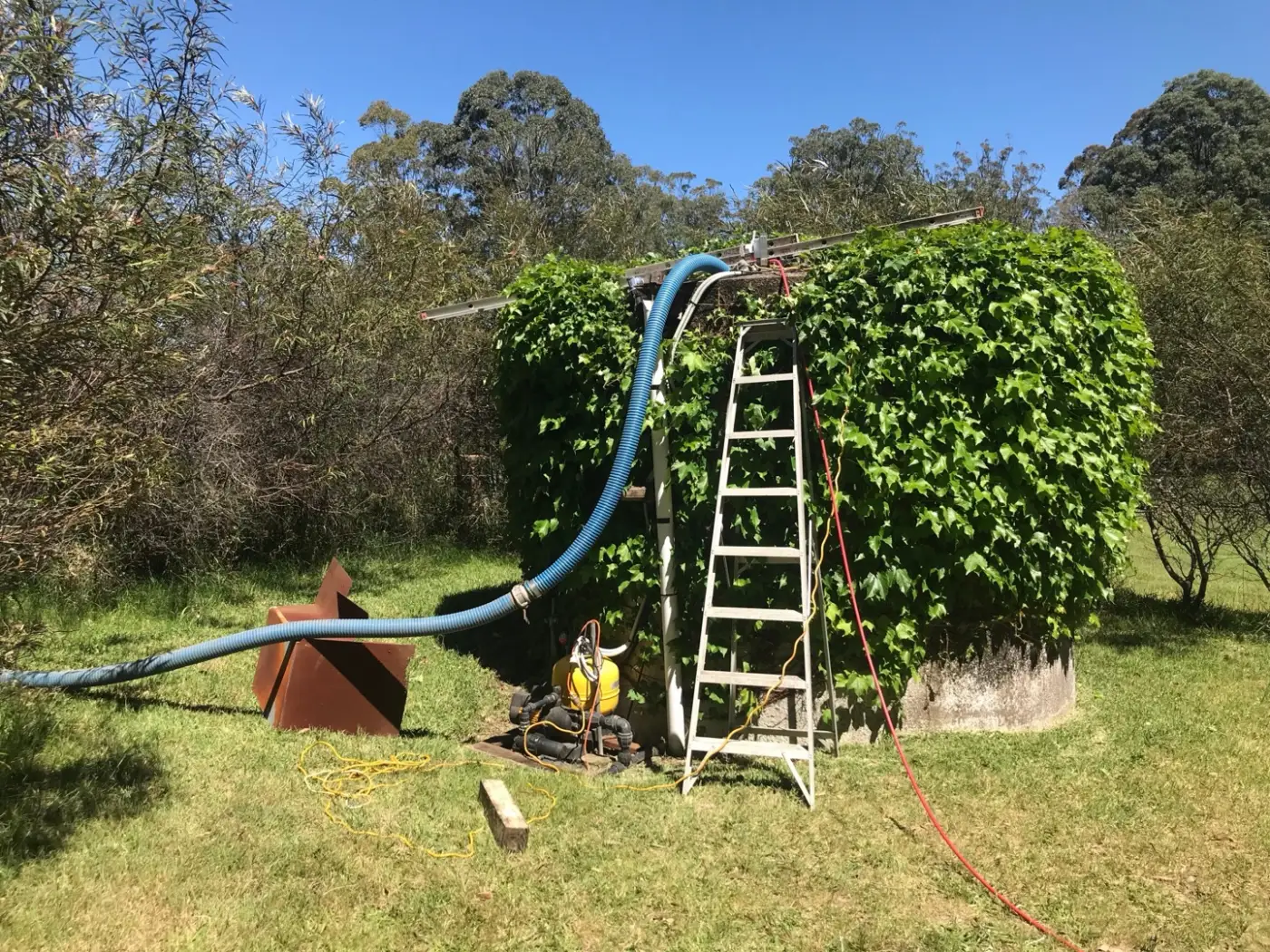 An ivy-covered concrete rainwater tank being cleaned on an acreage block: ladder against the tank, suction hose over the top and the red high-pressure line running down the hatch
