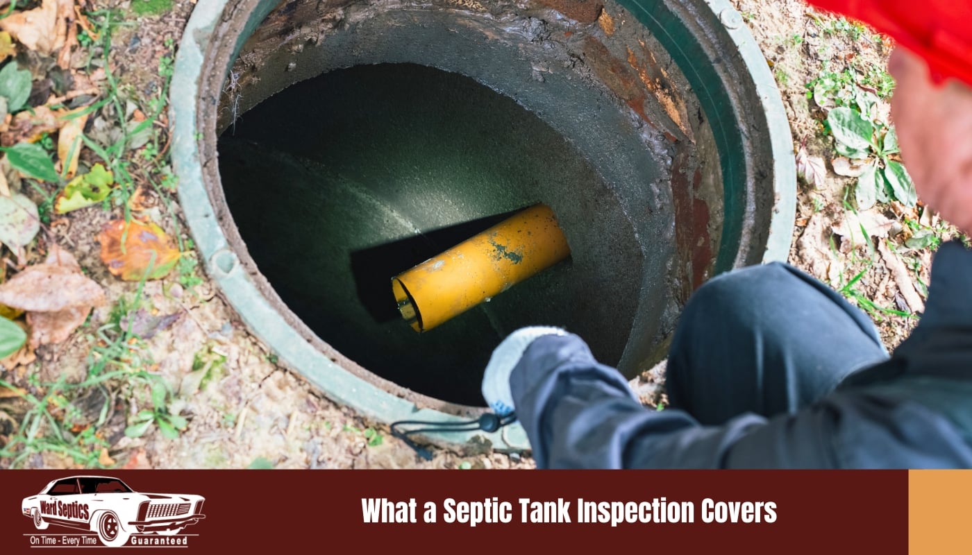 An environmental health officer using a torch to inspect the interior of an open concrete septic tank on a NSW rural property, assessing sludge levels, baffle condition, and effluent quality